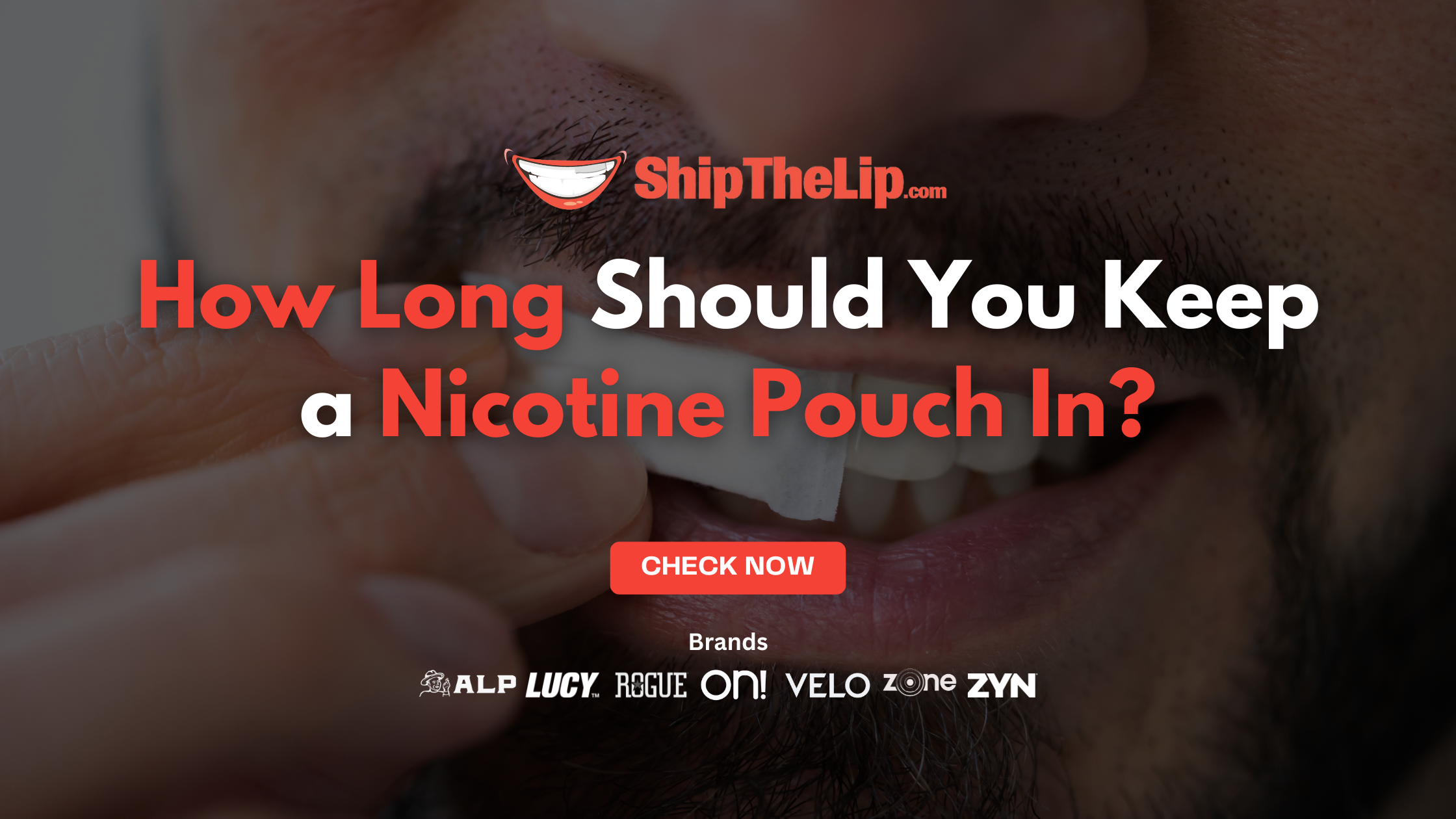 How Long Should You Keep a Nicotine Pouch In?